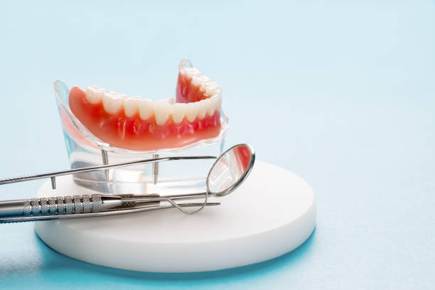 Best Preventive Dentistry  in Swartzville, PA
